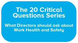 20系列关键问题——董事应该问什么工作健康安全